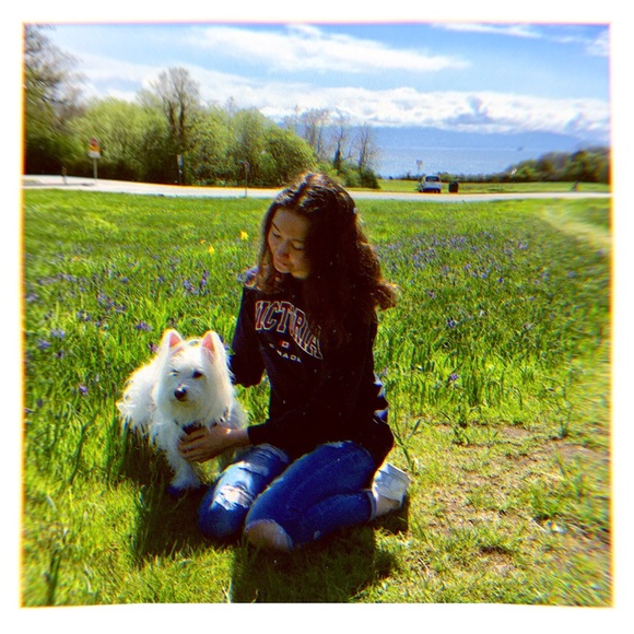 Sparks - Picture 1 of 1